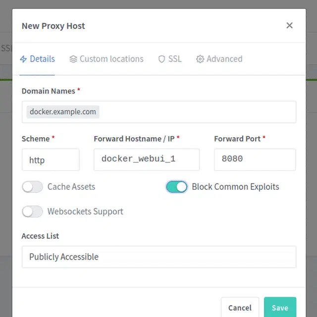 Proxy Host details /2019/personal-docker-registry/selezione_007_hu_44ee961808c46bd6.webp